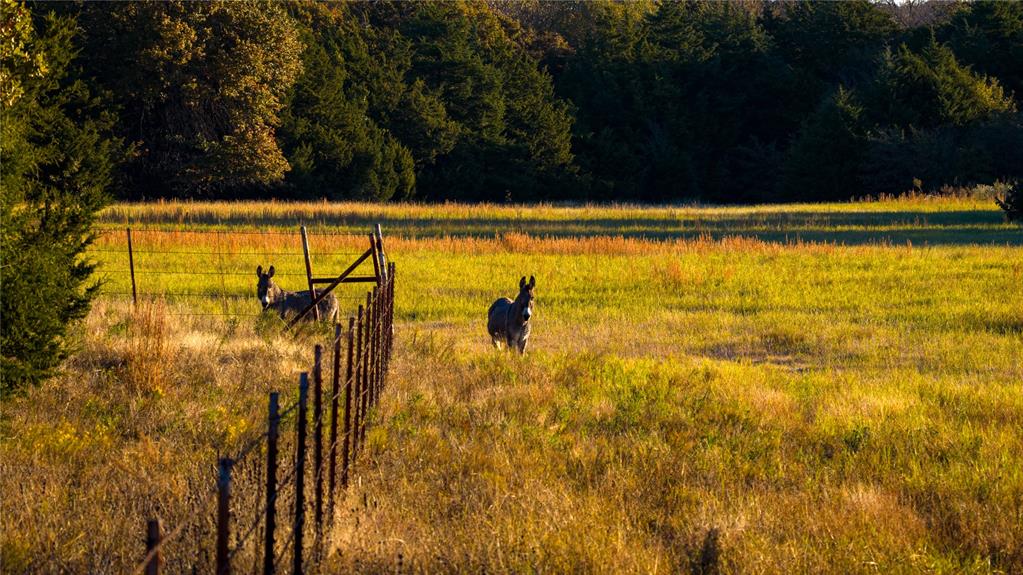 Brunk J - Residential