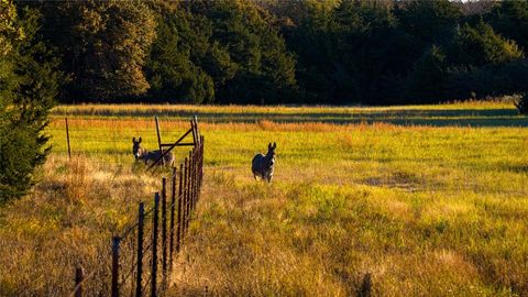 Tiny photo for 1210 County Road 232, Collinsville, TX 76233 (MLS # 21196093)