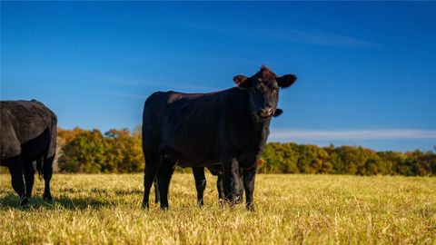 Tiny photo for 1210 County Road 232, Collinsville, TX 76233 (MLS # 21196093)