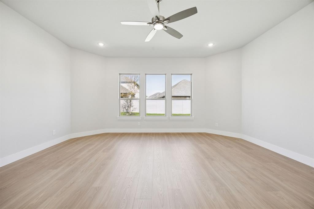 Painted Tree - Residential