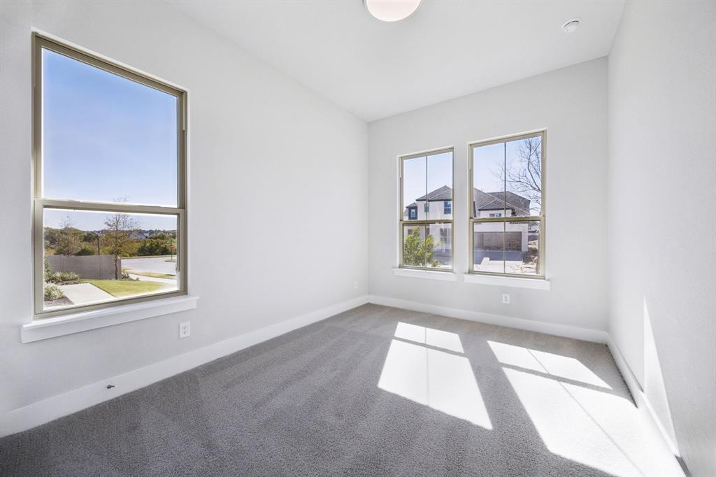 Painted Tree - Residential