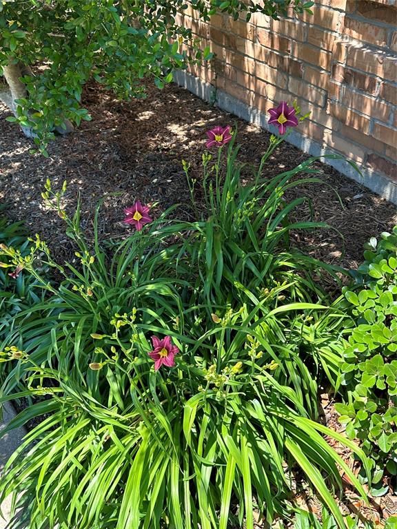 Laguna Vista - Residential