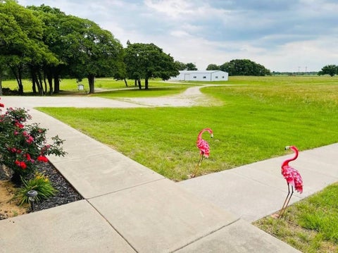Photo of 207 EMBERSON CHAPEL Road, Pilot Point, TX 75068 (MLS # 21372975)