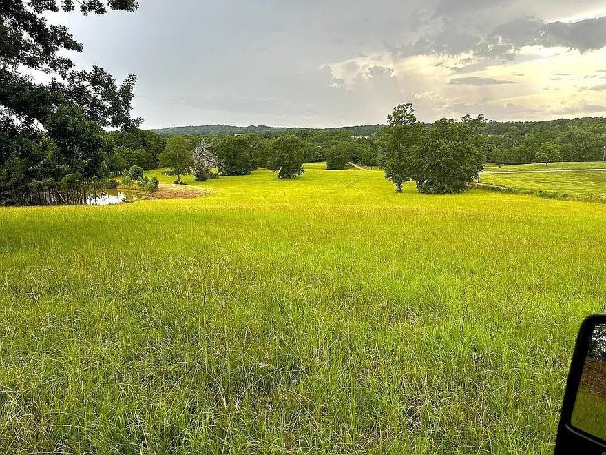 24 beautiful acres in East Texas. It has a house site sitting on top of the hill with absolutely stunning views overlooking a hay field and pond. You can literally see for miles. The house site already has electric, water, and gas on site. Build your dream home on the hilltop and sit on your porch and enjoy the view. There is plenty of deer and other wildlife to enjoy.
