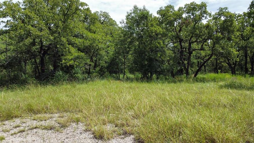 Discover the perfect spot to build your dream home on this beautiful, heavily treed lot nestled in a quiet cul-de-sac in the heart of Runaway Bay. Spanning over a quarter of an acre, this property offers privacy, shade, and natural beauty in a peaceful lakeside community. Located just minutes from Lake Bridgeport, outdoor enthusiasts will love the easy access to boating, fishing, and water recreation. With utilities nearby and no timeline to build, this is an excellent opportunity to invest in a growing area or start planning your forever home today! 

Road is not in great shape. Per the city manager once homes get built on the street the city will work to improve the road.