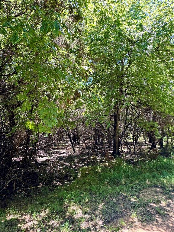 White Bluff #01 - Land