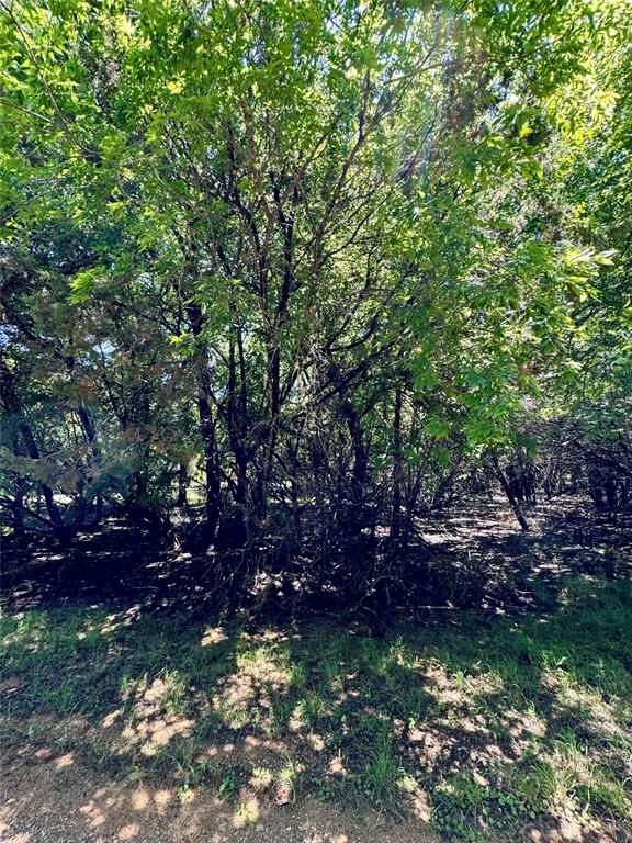 White Bluff #01 - Land