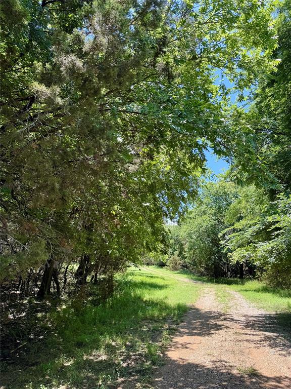 White Bluff #01 - Land