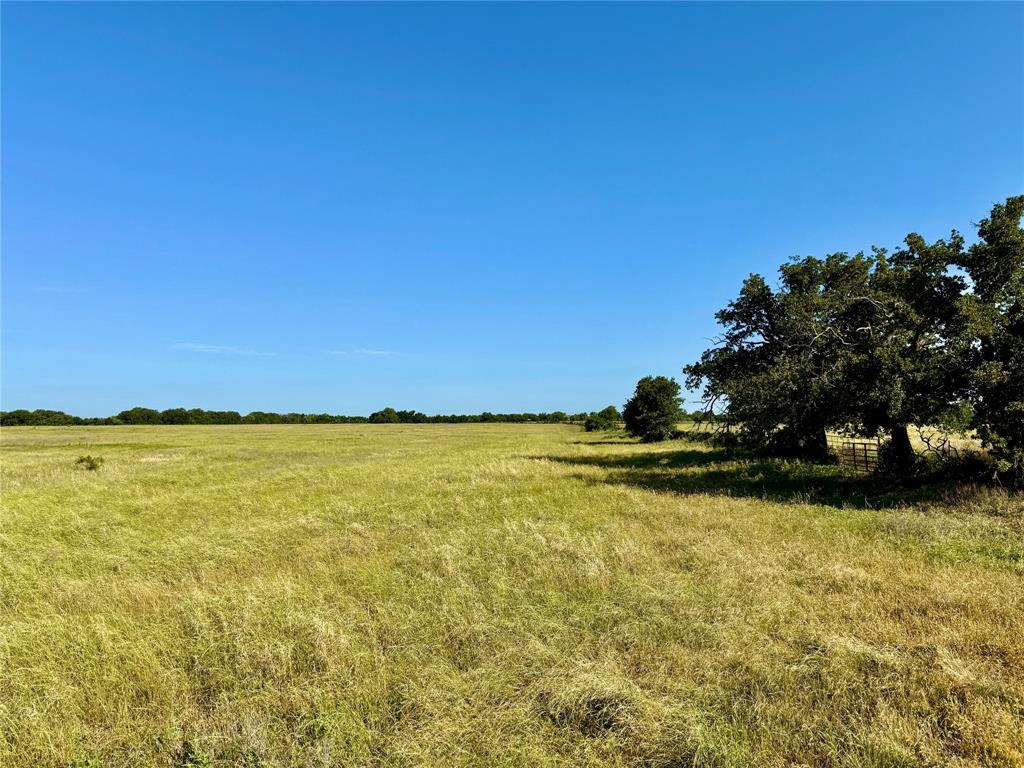 6331 County Road 385