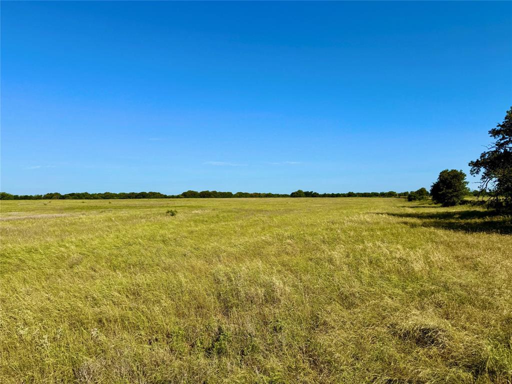 6331 County Road 385