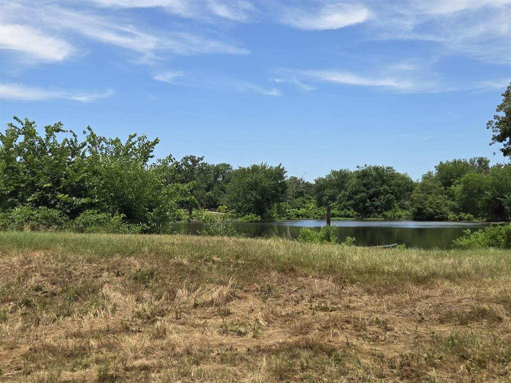 Wilson-Freeman - Land