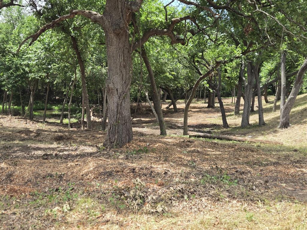 Wilson-Freeman - Land