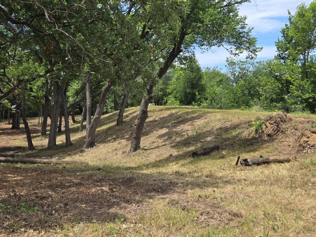 Wilson-Freeman - Land