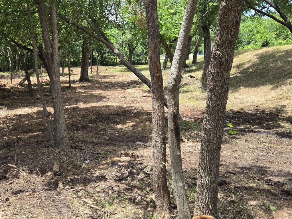 Wilson-Freeman - Land