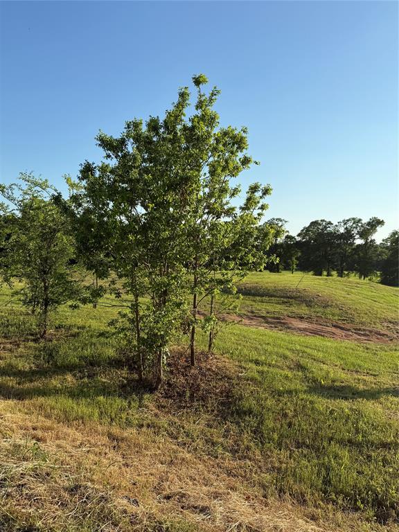 Lot 25 Private Road 7017