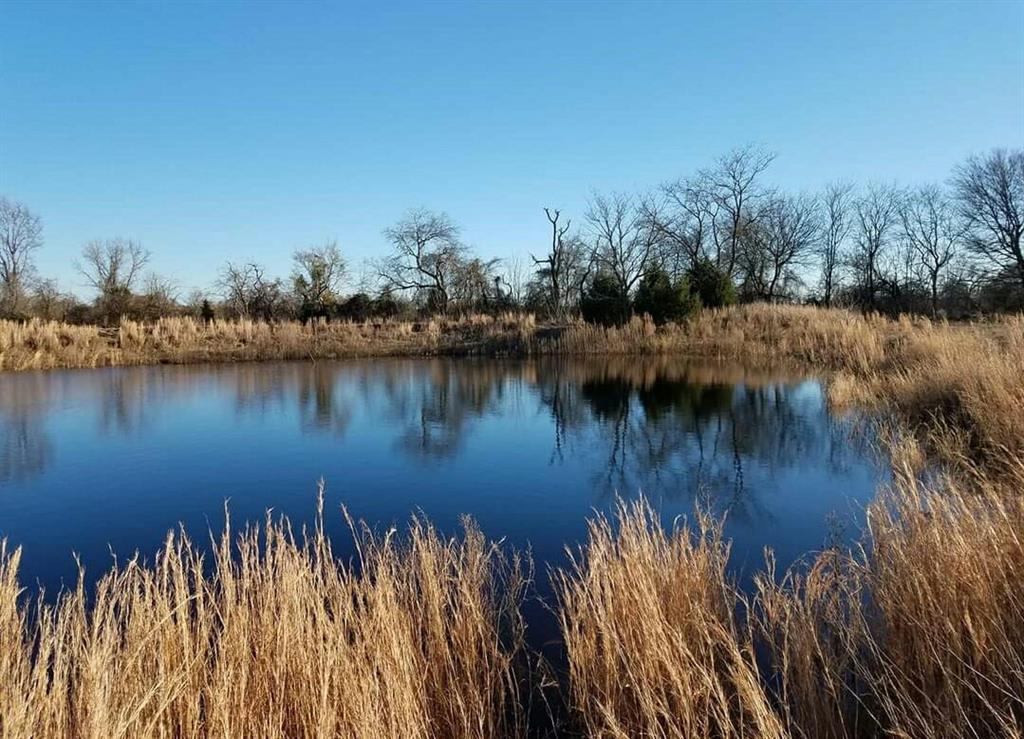661 VZ County Road 4406
