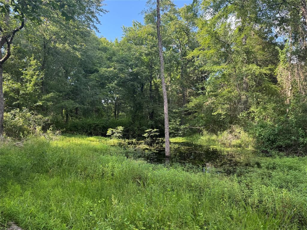 490 Vz County Road 2915