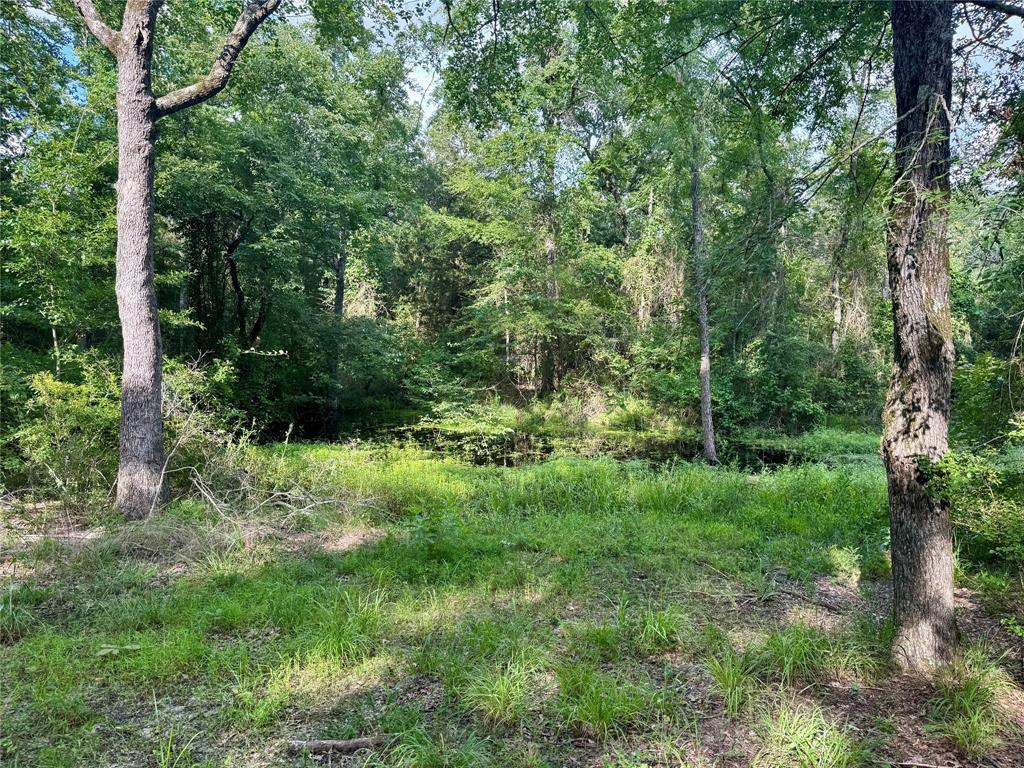490 Vz County Road 2915