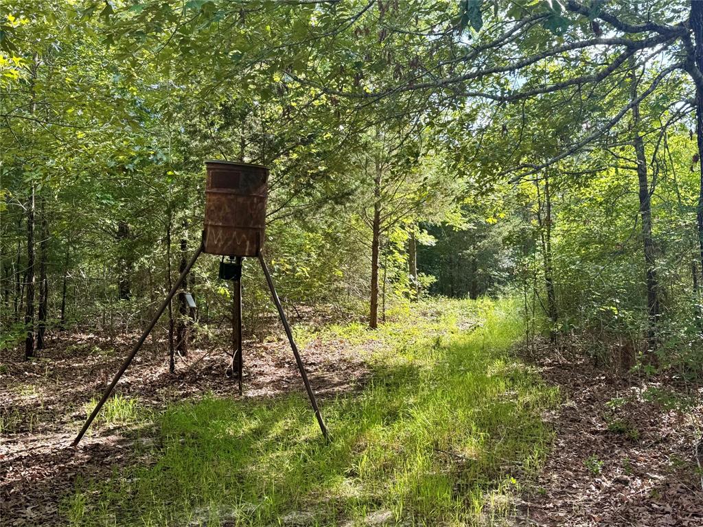 490 Vz County Road 2915