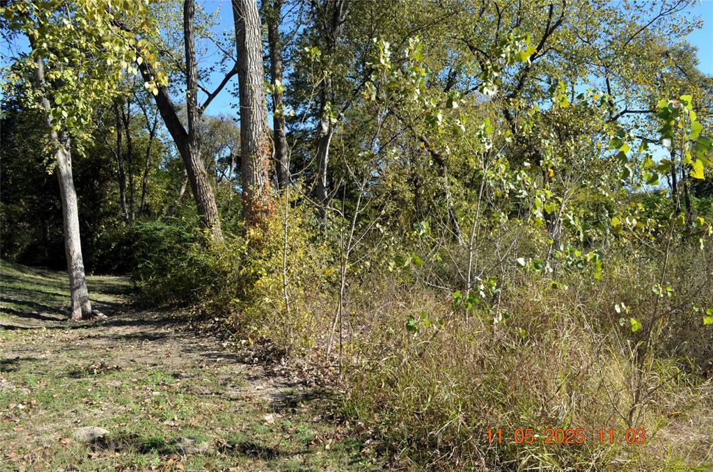 Carver Heights - Land