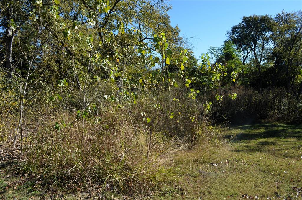 Carver Heights - Land