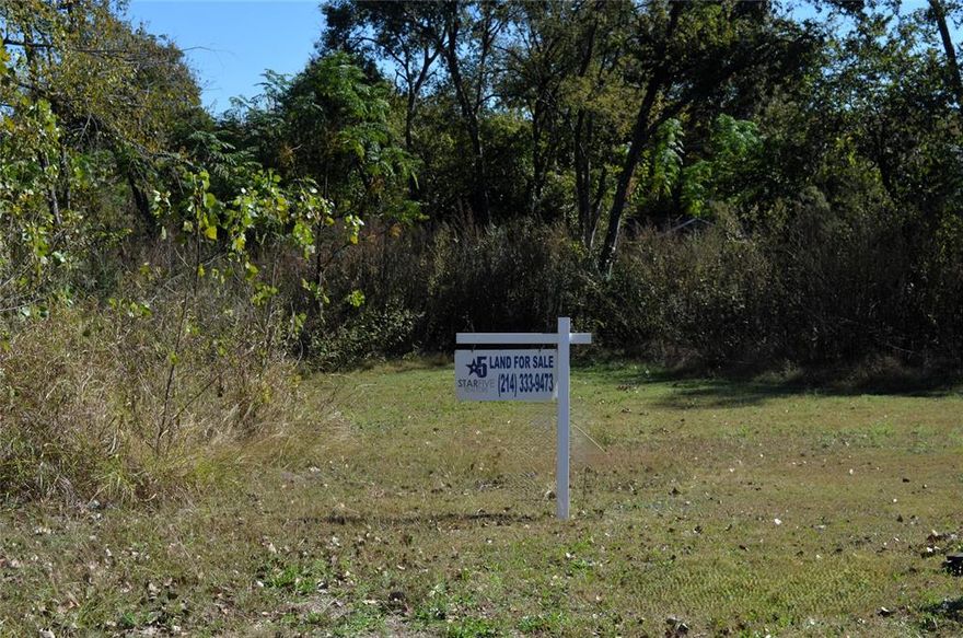 Unleash the full potential of this tract in Carver Heights primed for development in Dallas.  This tract is packaged with two other lots that will increase the versatility to be able to build three individual or be creative by combining lots together to build a larger home.  The only thing missing is the vision and execution to bring the vision to life!