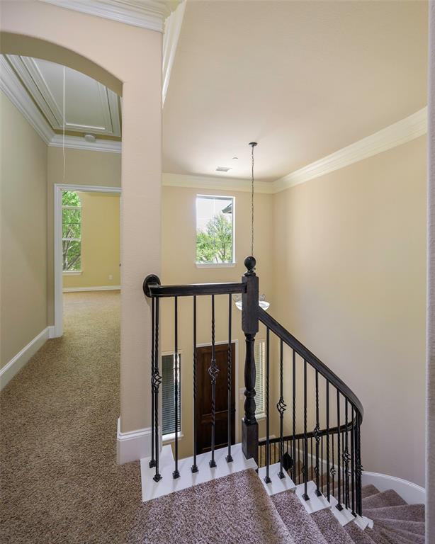 Settlement At Craig Ranch The - Residential