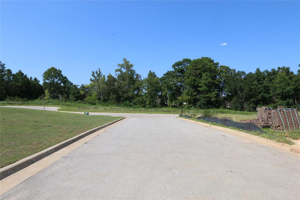14219 Aliyah Court