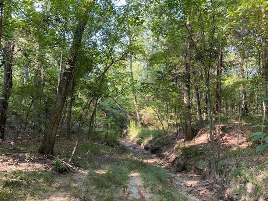 24.8423 WOODED ACRES WITH CREEK NEAR ATHENS. Wooded with mature native East Texas hardwoods and full of wildlife and personality. Turkey Creek, a wet weather creek, offers a great place for wildlife to gather. Additional property is also available for sale. See Broker for details.