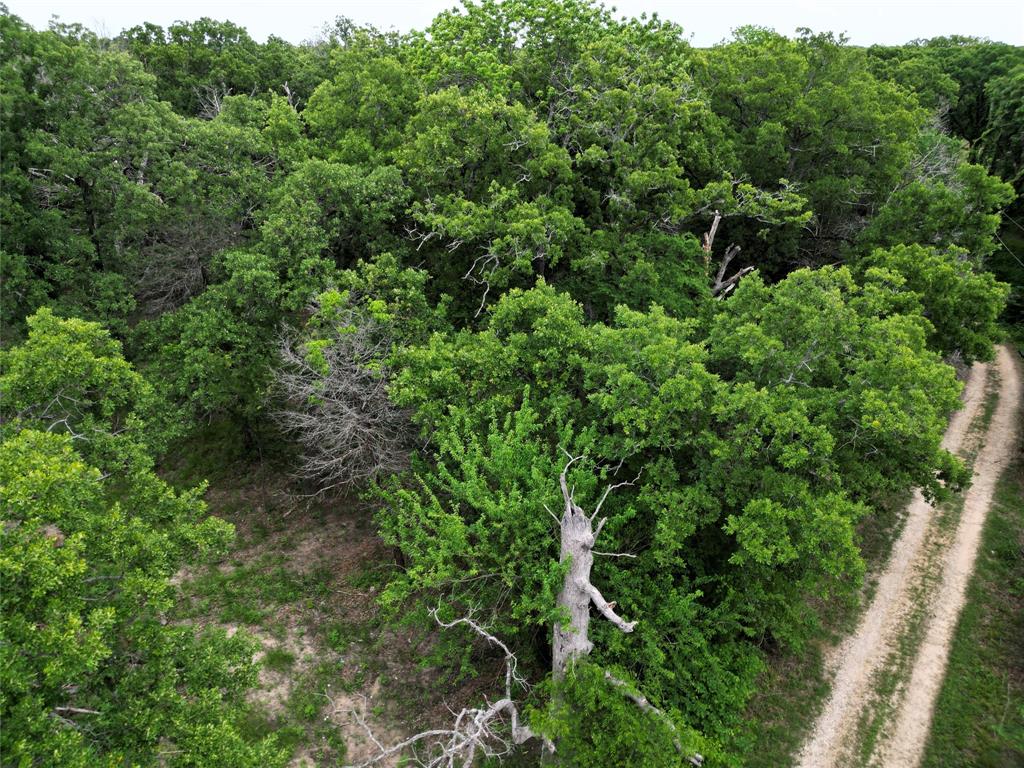 E Z Living Acres - Land