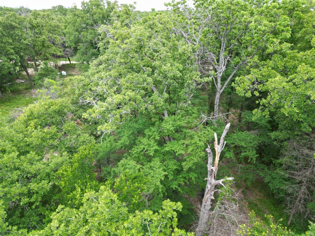 E Z Living Acres - Land