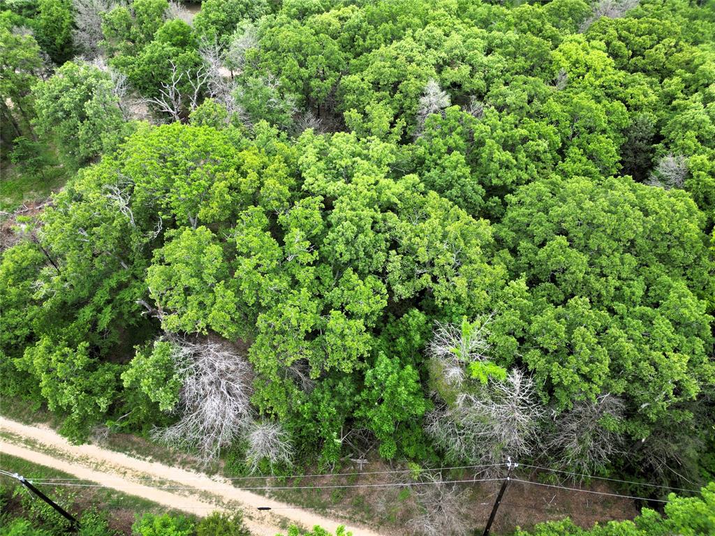 E Z Living Acres - Land
