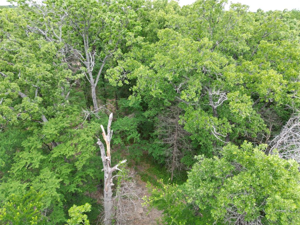 E Z Living Acres - Land