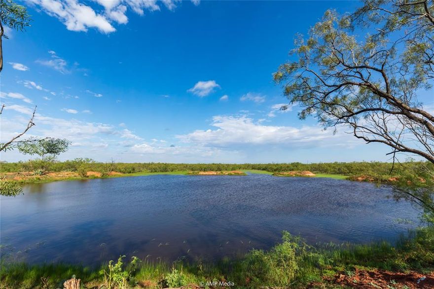 GET EXCITED! When you know a property is the right fit, you have every right to get excited. This is that property. This 960-acre Mitchell County opportunity has what you need whether you've been on the lookout for that next ranch or that perfect hunting spot.  Some call it a rare opportunity to find a large property out amongst big ranches…while not being consumed with oilfield activity, the Wildhorse 960 is worth getting excited about. Featuring seven stock tanks that are setup such to feed off the water that flows from Interstate-20 to Wildhorse Creek. Most stock tanks, and feeder dams, have had recent dirt work; the tanks are catching and holding water extremely well. Those stock tanks are placed across the property to allow livestock and wildlife access to water without traveling too far. The tanks are also placed to provide ample water to each of the four grazing traps. Those four traps come to a point where the pasture and the near 200-acres of cultivation meet; coming together at a set of sorting and shipping pens. The namesake for the property is Wildhorse Creek, this creek also catches a rain well and will hold water for extended periods of time. The near 200 acres of cultivation is in wheat and that blanket of green is starting to draw more and more wildlife. This wheat crop would easily hold a good set of yearlings or serve that bred cow herd. In the meantime, this wheat crop is a massive draw to the wildlife in the area, attracting Whitetail deer, Rio Grande turkeys, feral hogs, dove, ducks, and more. This is not only a deer property, this property will hunt all year. On any given day the Whitetail deer can be found bedded down or grazing in the wheat field, Rio Grande turkeys are found exploring the property, and feral hogs hop from mud hole to mud hole. The dove and ducks find this property too. If you are looking for that rare West Texas opportunity, then you have found it at the Wildhorse 960. GET EXCITED and give us a call to view.