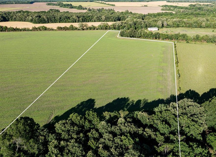 Unrestricted Texas Land – Seller Financing Available. Explore this outstanding property near Clarksville, in the heart of Red River County, Texas. With no restrictions, this flat and fertile parcel is well-suited for multiple uses including building, agriculture, recreation, or investment. Enjoy direct road frontage with convenient access. The land lies outside any FEMA-designated flood zone and offers a range of possible uses in a peaceful rural setting. Owner financing available with just 20% down, 10% fixed interest for 10 years—no banks required.