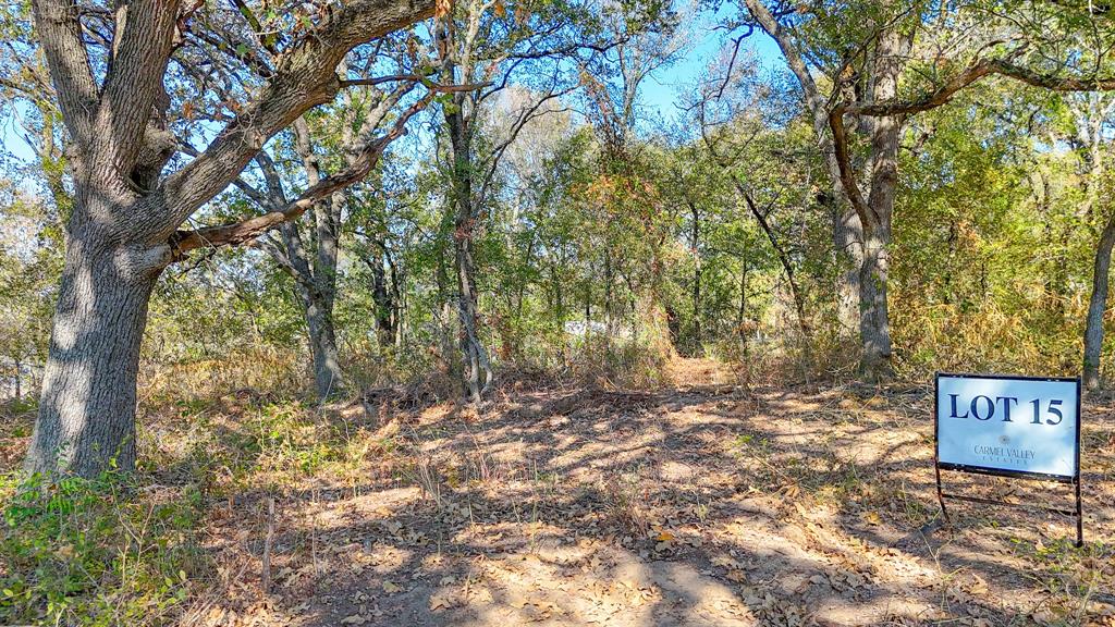 Carmel Valley Estates - Land