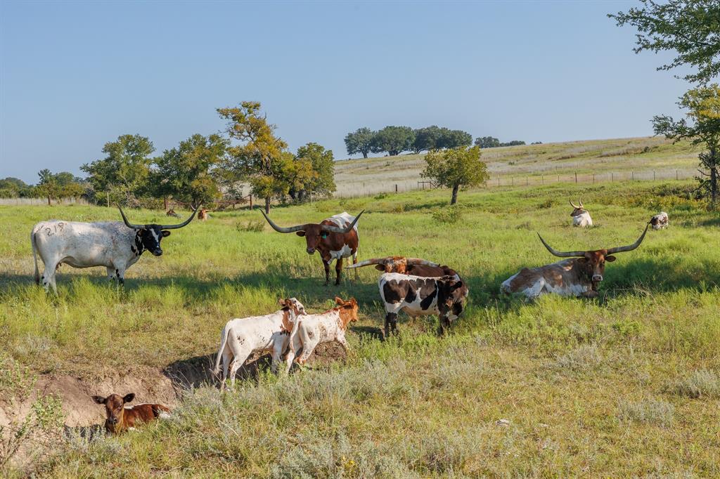 Cottages at Rough Creek Lodge - Residential