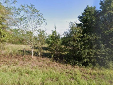 Photo of 0 County Road 152, Carthage, TX 75633 (MLS # 21362106)