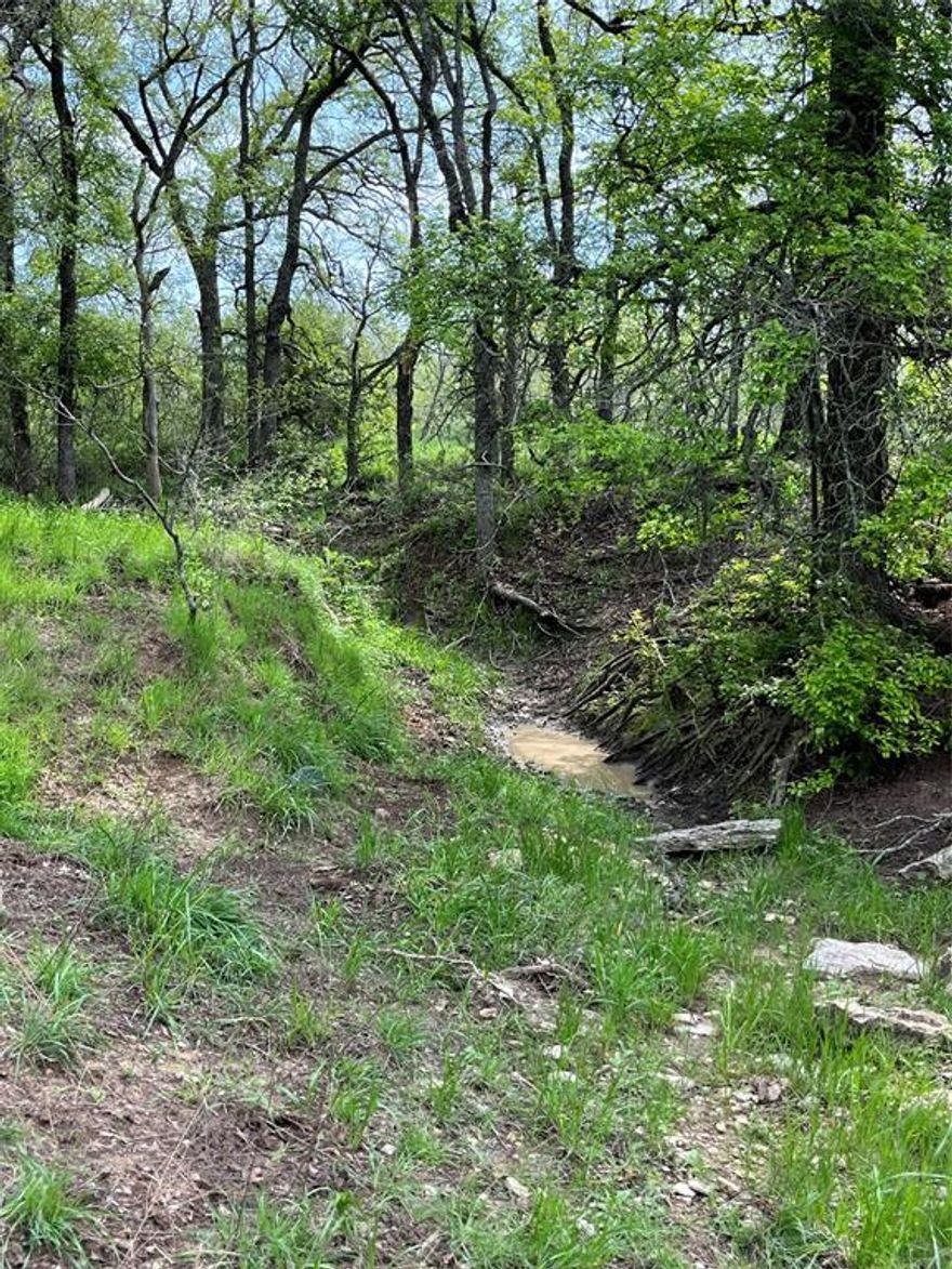 Excellent recreational property with beautfiul oak trees and scattered tree cover.  Property is fenced and has been used for cattle and has two ponds.