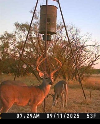 ADDRESS PRIVATE, TRENT, TX 79561 - Image 75f144a347b1e23474ae98d2ce82a4f2/4250134721