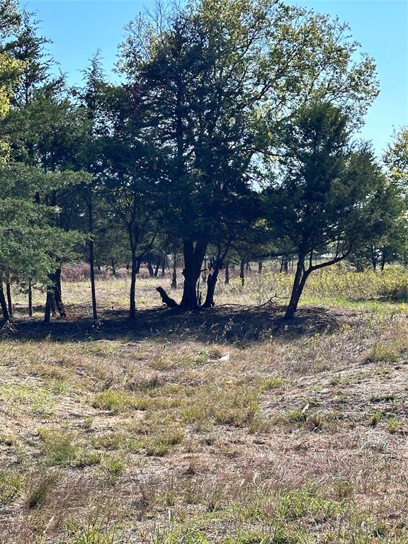 0177 T R HAMILTON - Land