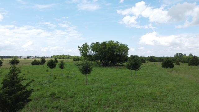 0177 T R HAMILTON - Land