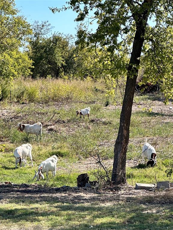 0177 T R HAMILTON - Land