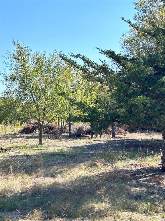 0177 T R HAMILTON - Land