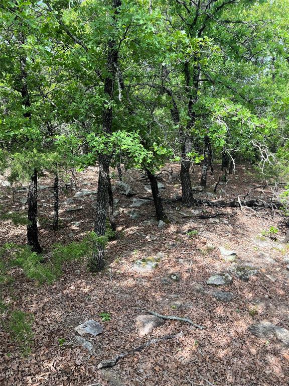 Photo 11 of 19 of 538 Murphree Road land