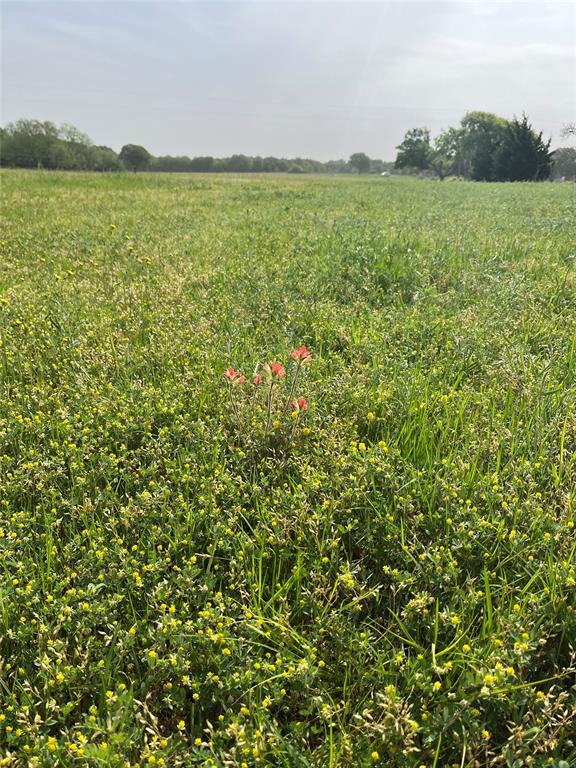 Photo 19 of 19 of 538 Murphree Road land