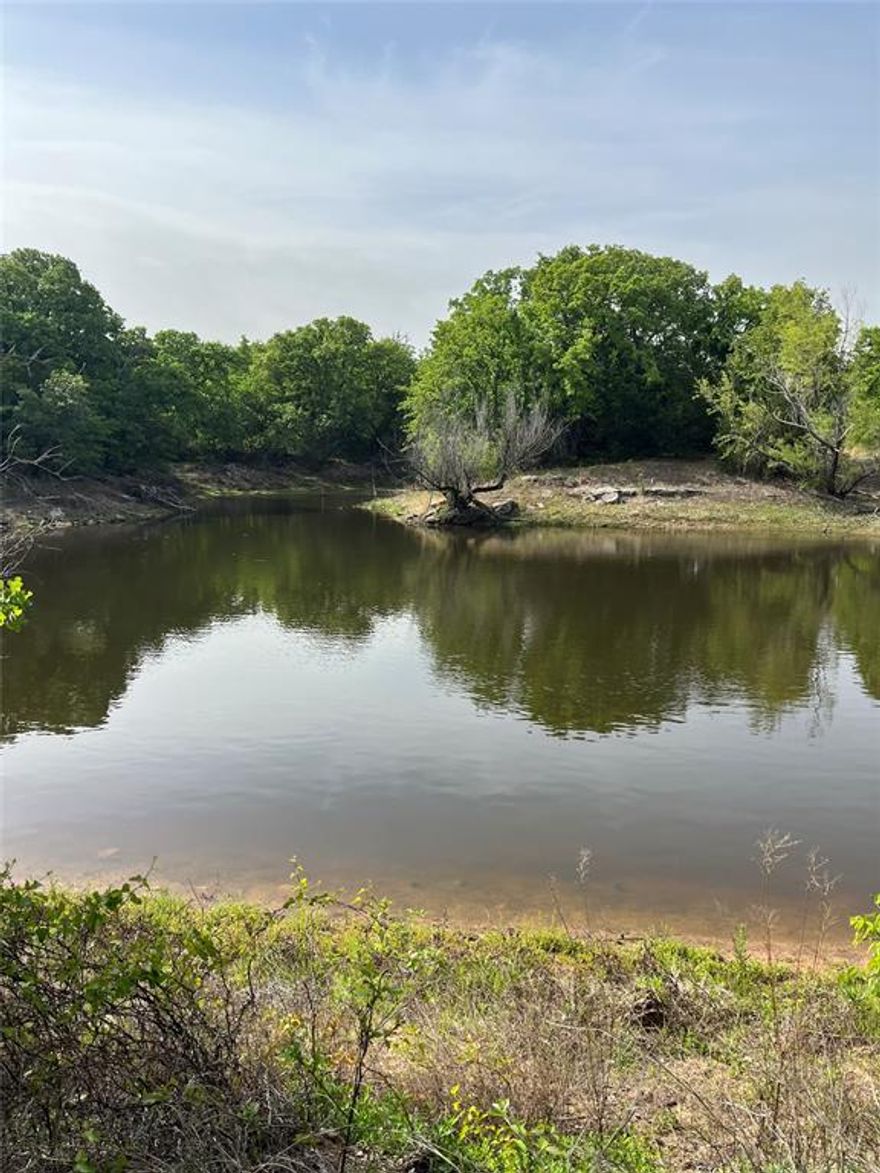 This hidden gem near the Red River offers something for everyone. Native oaks, cedar, sycamore and more timber on the North and West borders of property along with stocked ponds and rolling topography. Enjoy abundant wildlife, including deer and turkey, while also having cattle on the cleared southeastern portion of the property. Multiple build sites, water well needed. Property is cross fenced. Electric available and no known restrictions. Enjoy the scenic drive out and the tree canopy over the county road on the way to this unique 45 acres. Information deemed reliable but to be verified by buyer and buyer's agent.
