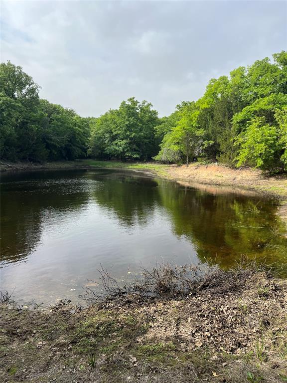 Photo 6 of 19 of 538 Murphree Road land