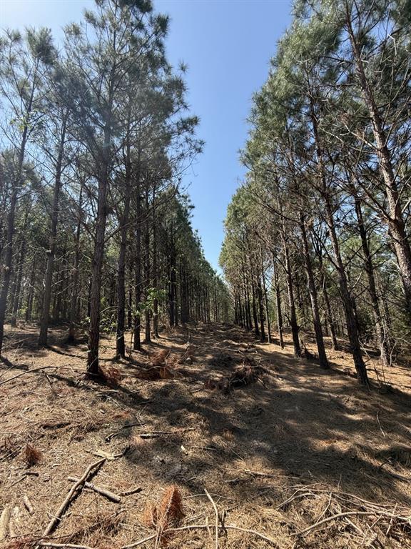 TBD Lincoln Springs Rd