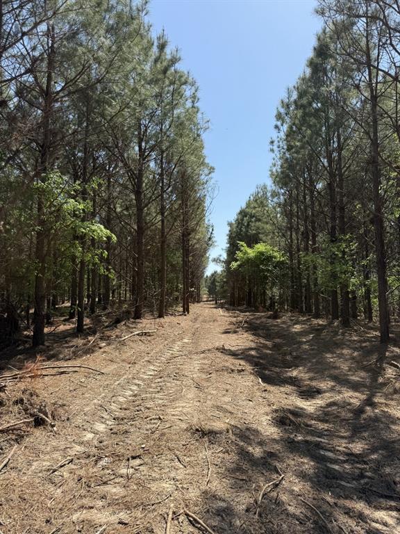 TBD Lincoln Springs Rd